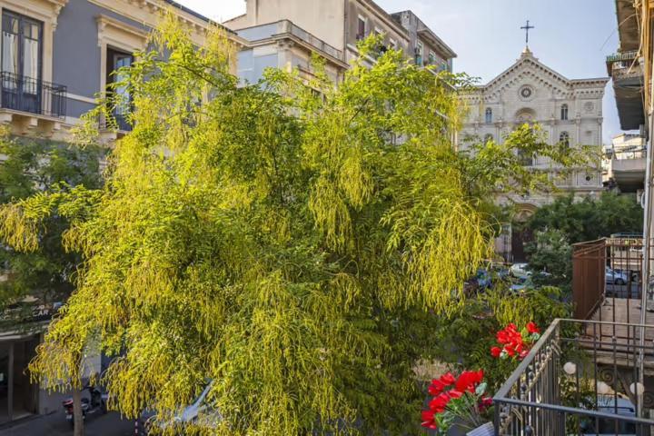 L'angelo Di Casa Mia Catania